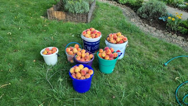 Sprzedam działkę rekreacyjną