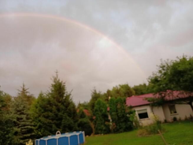 dom 120 m, duża działka z lasem