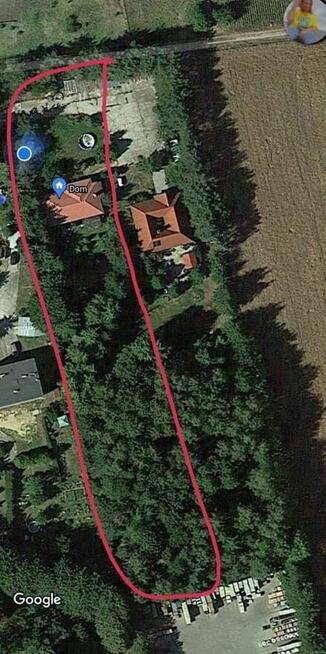 dom 120 m, duża działka z lasem