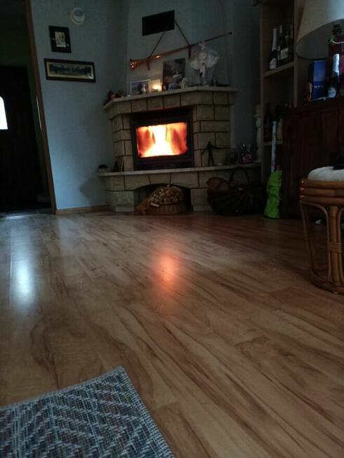 dom 120 m, duża działka z lasem