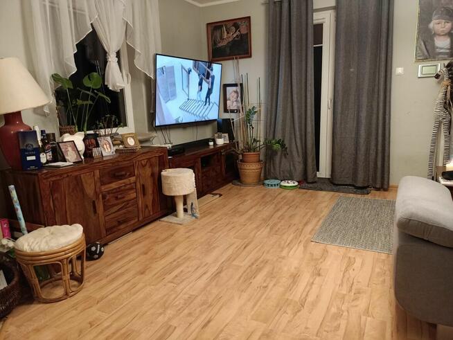 dom 120 m, duża działka z lasem