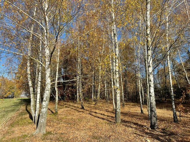 Działki Budowlane. Iwowe gm. Borowie. Powiat Garwoliński.