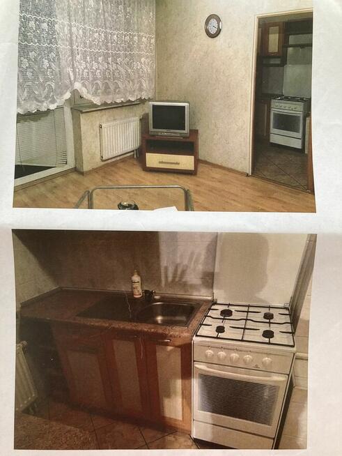 Do wynajmu duza kawalerka w centrum Szczecina Bez posrednika