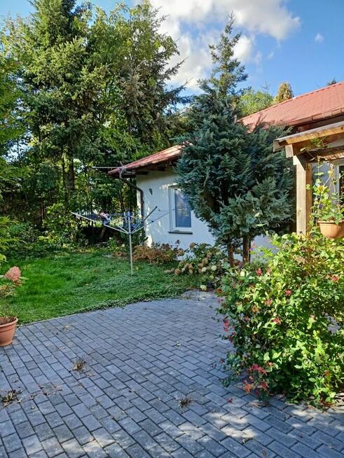 dom 120 m, duża działka z lasem