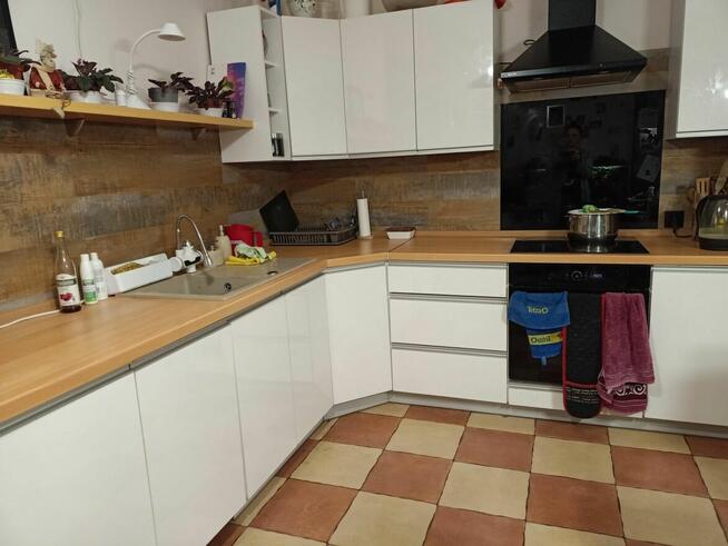 dom 120 m, duża działka z lasem