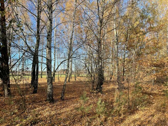 Działki Budowlane. Iwowe gm. Borowie. Powiat Garwoliński.