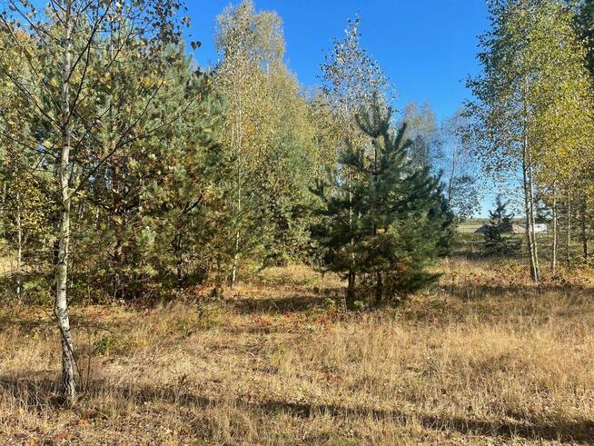 Budowlane Żabieniec gm. Parysów, przy granicy gm. Garwolin.