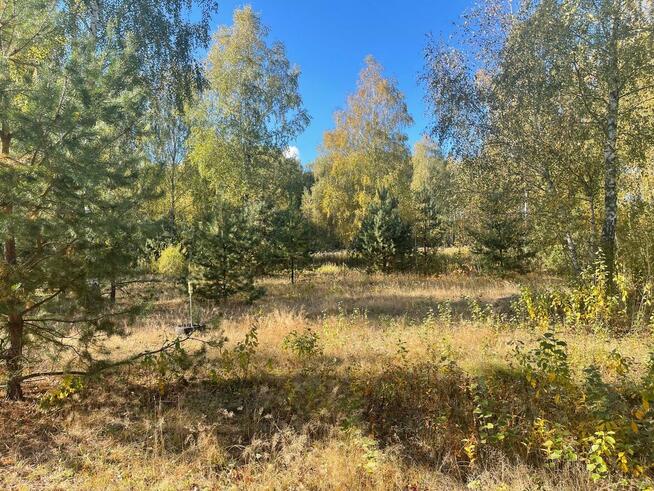 Budowlane Żabieniec gm. Parysów, przy granicy gm. Garwolin.