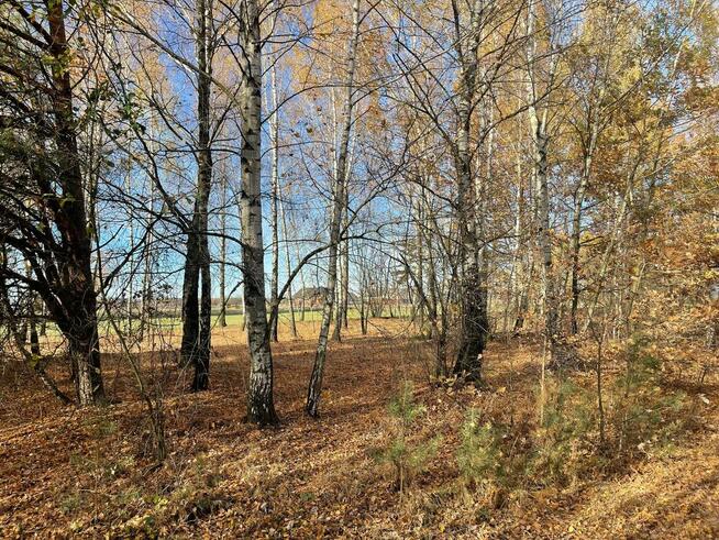 Działki Budowlane. Iwowe gm. Borowie. Powiat Garwoliński.