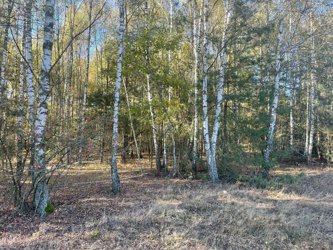 Budowlane Żabieniec gm. Parysów, przy granicy gm. Garwolin.