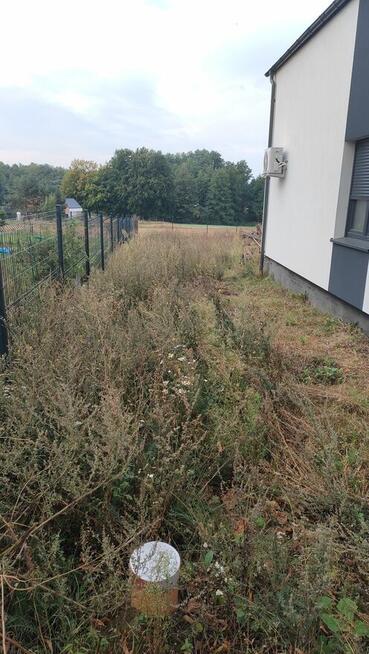 Zakładanie/pielęgnacja ogrodów, usługi mini ładowarką 500kg