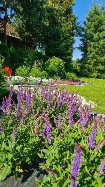 Zakładanie ogrodów Wielka Wieś, Skała, Zabierzów
