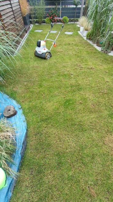 Zakładanie/pielęgnacja ogrodów, usługi mini ładowarką 500kg