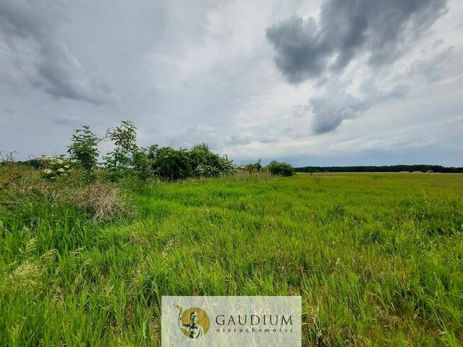 Działki letniskowe nad kanałem Obry | Karszyn