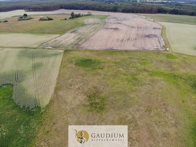 Działki letniskowe nad kanałem Obry | Karszyn