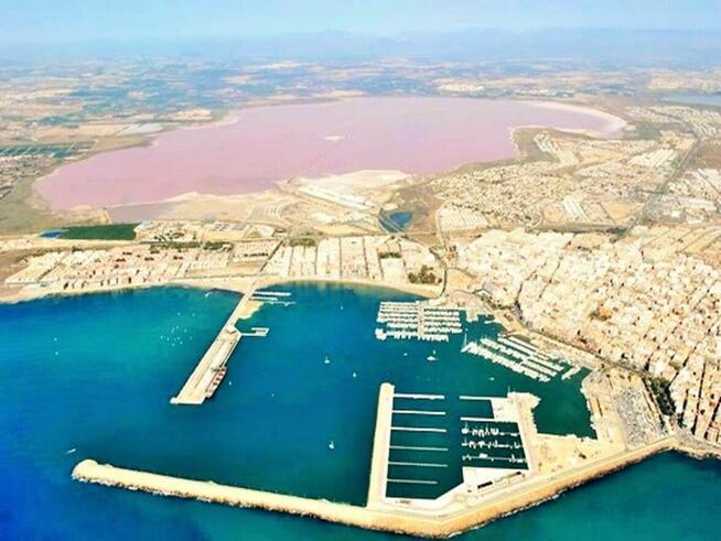 Costa Blanca - Torrevieja APARTAMENT Z BASENEM