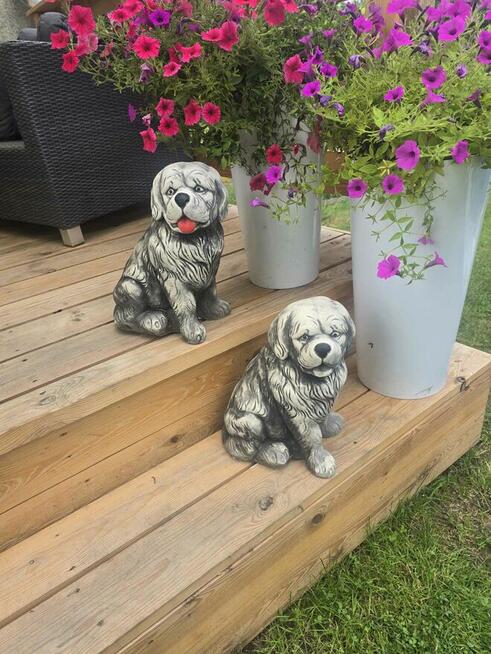 Pies BERNARDYN figurka gipsowa psa dekoracja dekor z gipsu