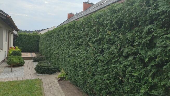 Zakładanie/pielęgnacja ogrodów, usługi mini ładowarką 500kg