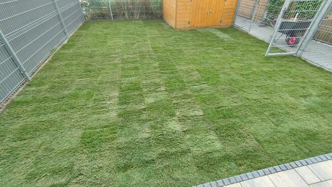 Zakładanie/pielęgnacja ogrodów, usługi mini ładowarką 500kg