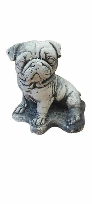 figurka gipsowa Mops