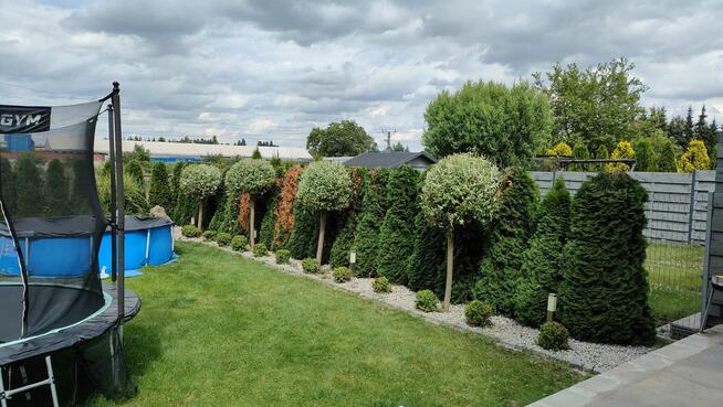 Zakładanie/pielęgnacja ogrodów, usługi mini ładowarką 500kg