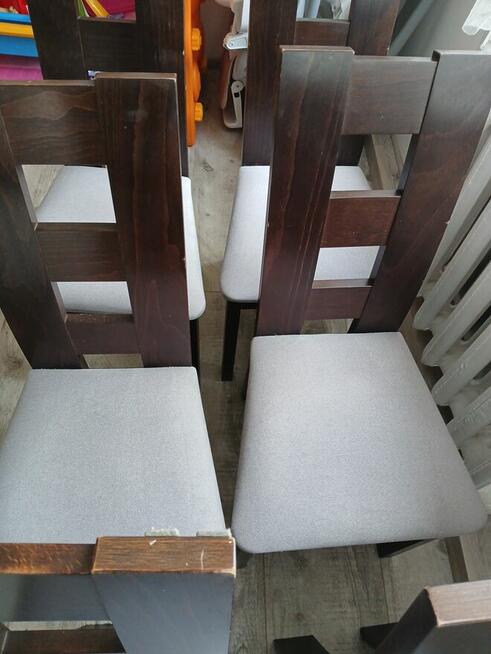 Czyszczenie Dywanów i Tapicerek