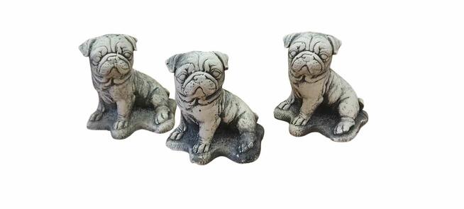 figurka gipsowa Mops