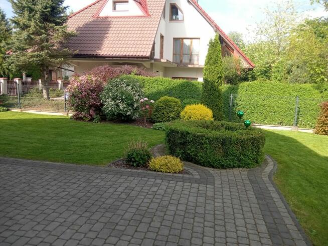 Zakładanie ogrodów Wielka Wieś, Skała, Zabierzów