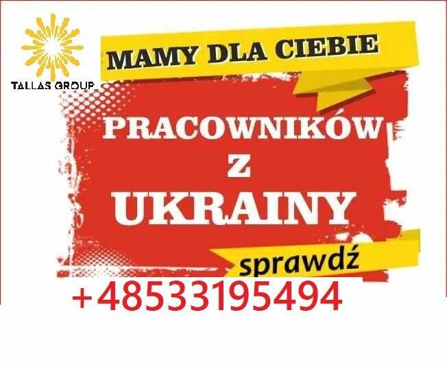 Mamy pracowników z Ukrainy. Kobiety z doświadczeniem w pracy