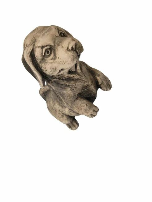 Piesek gipsowy dekoracja