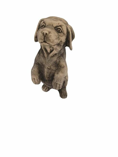 Piesek gipsowy dekoracja