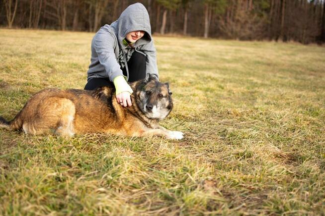 Klara-duża starsza suczka czeka na wymarzony dom-adopcja