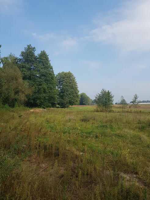 Sprzedam
