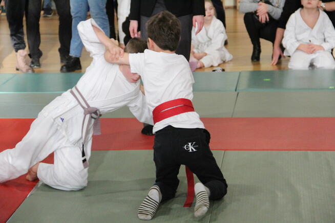 Judo - zajęcia dla dzieci.