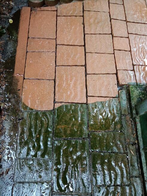 LAVADOR– Mycie elewacji, dachów, przeszkleń, kostki brukowej