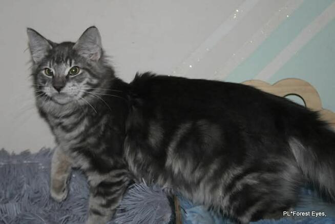 Cuda w unikalnym kolorze