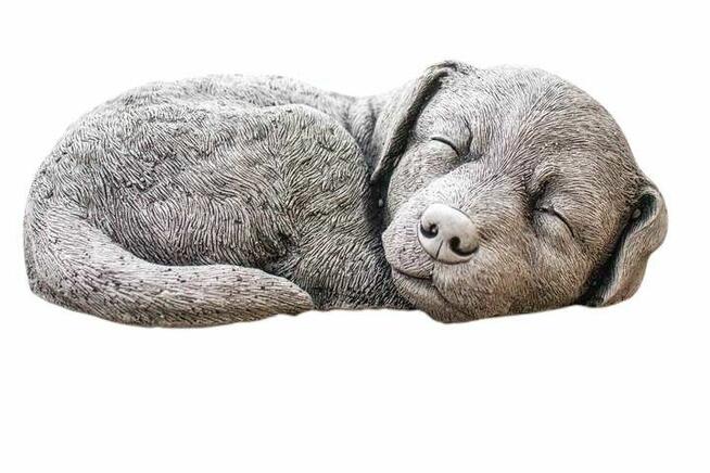 Pies śpiący piesek ozdoba gipsowa dekoracja figurka gipsowa