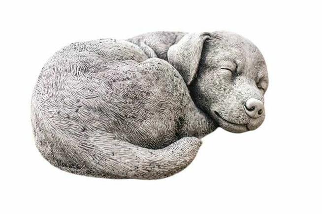 Pies śpiący piesek ozdoba gipsowa dekoracja figurka gipsowa