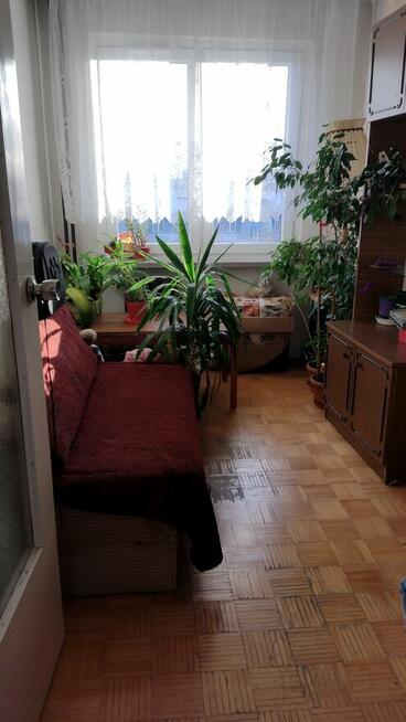 Sprzedam mieszkanie w Tarnobrzegu ul. Kwiatkowskiego 3