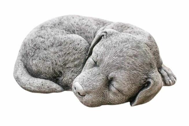 Pies śpiący piesek ozdoba gipsowa dekoracja figurka gipsowa