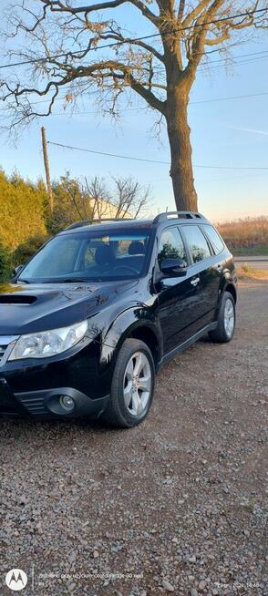 Subaru FORESTER JEŚLI JESTEŚ ZAINTERESOWANY SKONTAKTUJ SIE !