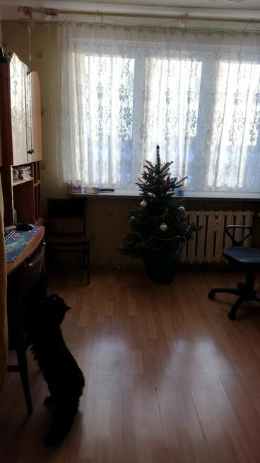 Sprzedam mieszkanie w Tarnobrzegu ul. Kwiatkowskiego 3