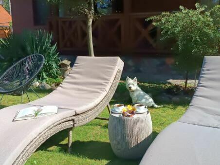 Apartamenty nad jeziorem W Sosnowym Lesie Pluski