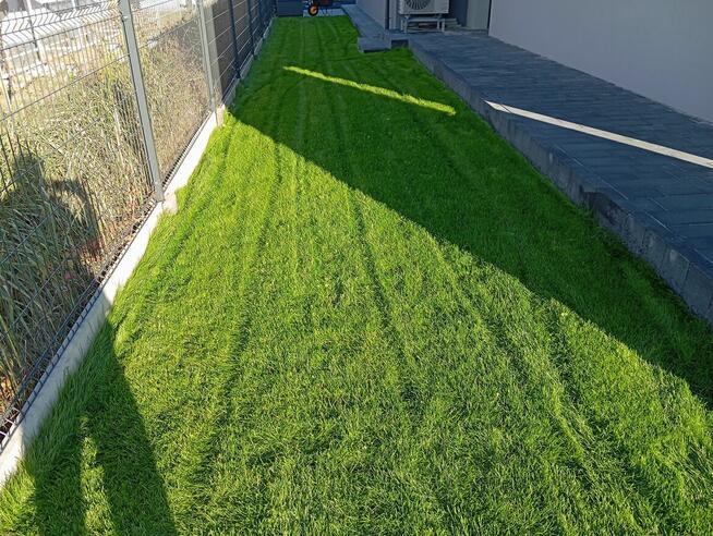 Usługi siewnikiem mechanicznym, siew mechaniczny trawnika