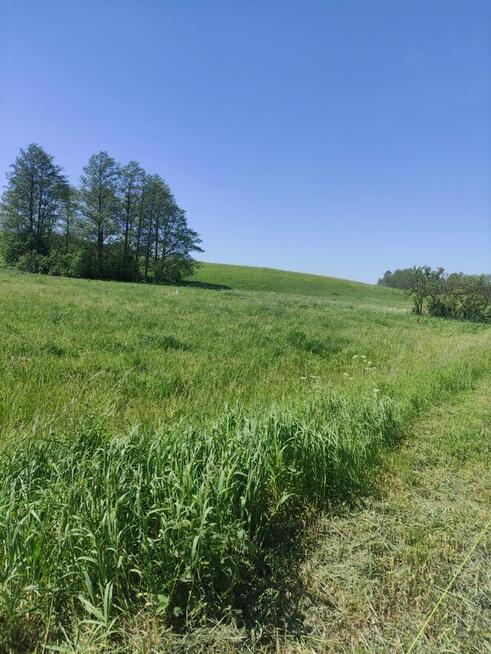 Działka z budynkiem do remontu