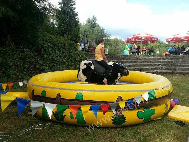Byk rodeo na wynajem