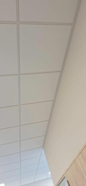 Remonty, wykończenia mieszkań i domów.