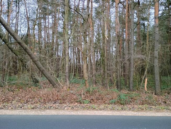 działka leśna 0,78 Ha ok. Mszczonowa