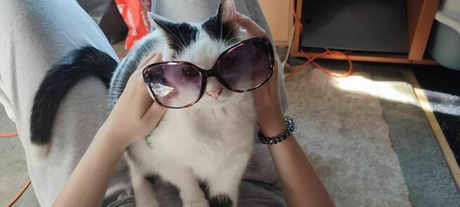 Prace rem-budowlane, wykonczeniowe