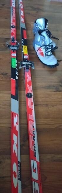 Wypożyczę narty biegowe